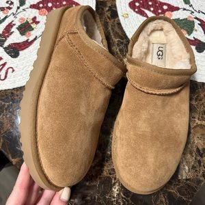 Brand new chestnut uggs